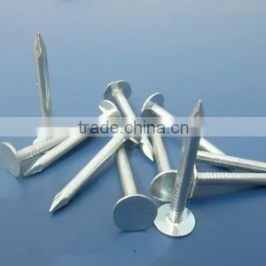 Large Flat Head Clout Nail Roofing Nail for Africa thumbnail-3