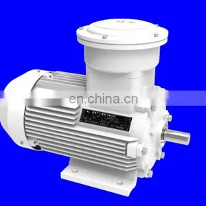 YB3-160M2-2 15kw ac 3 Phase Motor 380V Three-phase Asynchronous Motor YB3 Series Three Phase Explosion-proof Motor thumbnail-6