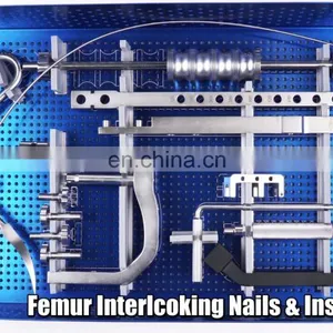 Competitive Price Femoral Interlocking Intramedually Nail for Surgical Orthopedic Femur Interlock Nail thumbnail-1