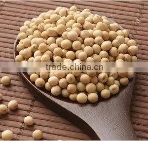 Soybean thumbnail-1