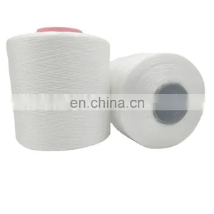 Chinese Manufacturers Wholesale High Tenacity Dyeing Tube White Thread for Sewing thumbnail-1
