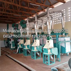Small Production 10T Wheat Flour Milling Machine Wheat Meal Processing Line Grain Milling Machine thumbnail-3