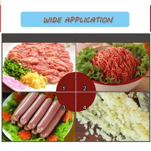 QDMECH Automatic RL023 Meat Grinder Machine Professional Stainless Steel Meat Mincer for Beef Pork Chicken Ginger Garlic Chili Grinding thumbnail-5