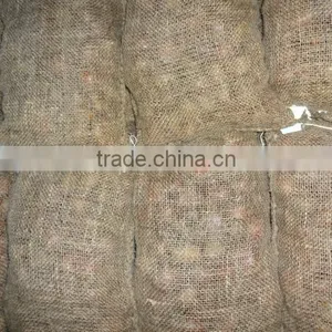 2015 New Crop of the Chestnut With Highest Quality thumbnail-3