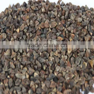 Buckwheat thumbnail-1