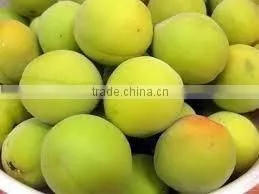 Compote Apricots in Syrup 720ml Jars thumbnail-2