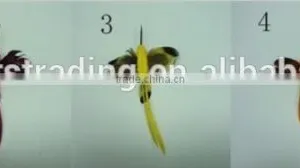 Solar Fluttering Hummingbird thumbnail-2