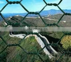 Hexagonal Wire Mesh thumbnail-1
