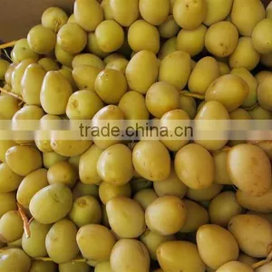 Fresh Dates Fruit thumbnail-1