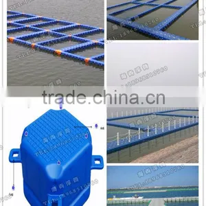 Fish Farming Turkey thumbnail-1