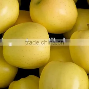 We Are Supply Fresh Golden Delicious With Best Prices for Sale thumbnail-3