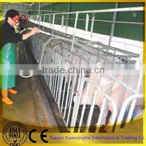 Pipe for Sow Cage/sow Farrowing Pens Fatten Cage for Sale thumbnail-2