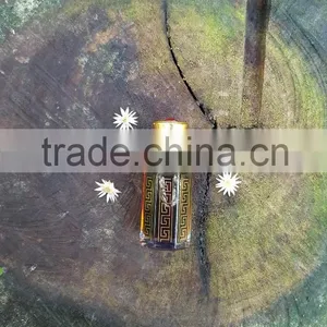 Indian Assum : Super (Aged) thumbnail-1