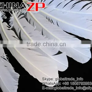 Gold Supplier CHINAZP Cheap Bulk Plume Dyed Snow White Solid Color Turkey Feather for Sale thumbnail-3