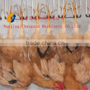 200-100000 Chicken Slaughter Line Slaughterhouse/poultry Abattoir thumbnail-1