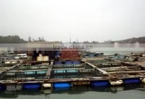 Xiamen Taiseng Imp. & Exp. Co., Ltd. company overview - view 3 thumbnail
