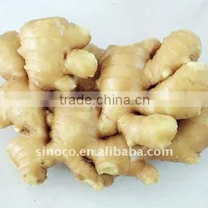 Fresh Ginger Export thumbnail-1