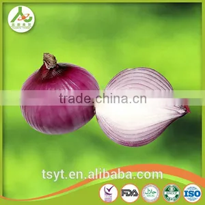 Export Onion From China With Fresh and Red Onion thumbnail-3