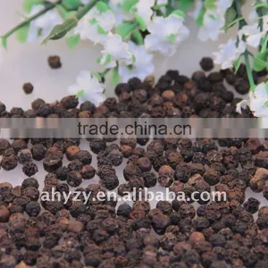 Black Pepper thumbnail-1