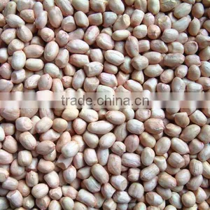 Peanut Kernels thumbnail-1