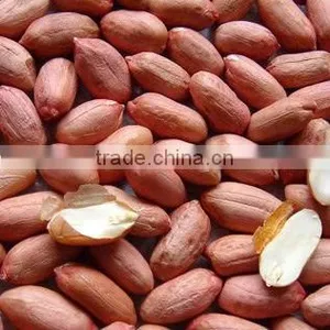 Peanut Bulk Bag thumbnail-1