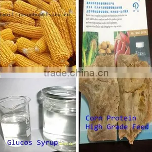 Corn Syrup Line thumbnail-1