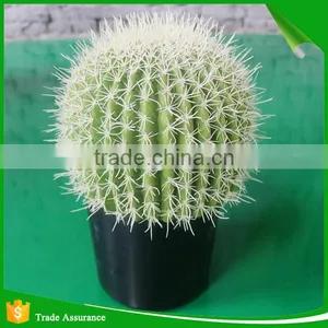 Wholesale Natural Artificial Plastic Cactus Plant thumbnail-3