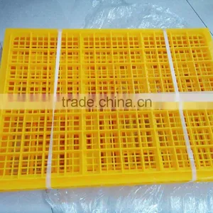 Manufacturer Plastic Chicken Transport Cage With High Essential HJ-DN018 thumbnail-1