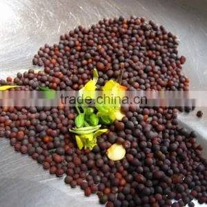 Mustard Seed thumbnail-1