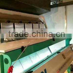 Double Side View Technology Optical Sea Salt Size Color Sorting Machine thumbnail-5