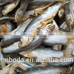 Industrial Fish Drying Machine thumbnail-5