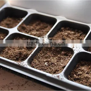 Growing Vegetable Transplants in Plug Seed Nursery Trays 8 Cell thumbnail-4