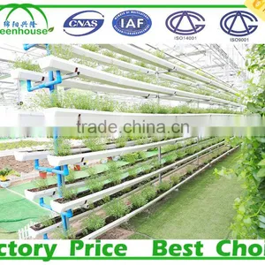 Agriculture Plastic Large Multi Span Commercial Greenhouse for Sale thumbnail-5
