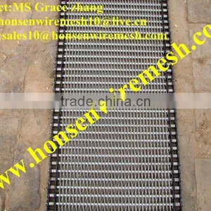 High Quality Conveyer Belt Mesh ( 15 Years Factory) thumbnail-1