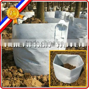 Non Woven Fabric Tomato Grow Bags, Tree Planting Bags thumbnail-6