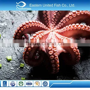 Seafood Export Wholesale Health Frozen Cooked Octopus Whole Round thumbnail-1