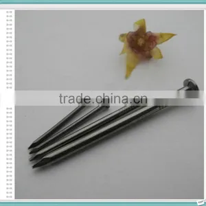 Wire Nails/wire Nails Maufactures in China thumbnail-5