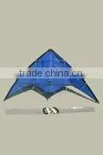 Sports Kite thumbnail-1