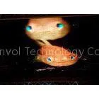Energy Saving Flexible LED Video Screen , Glass Building Facade LED Video Panel thumbnail-1