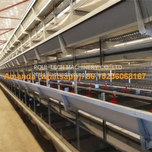 Ghana Poultry House Automatic Pullet Chicken Cage & Battery Small Layer Cage in Chicken Shed thumbnail-2