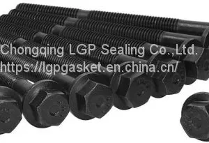 Cylinder Head Bolt Kits for Fiat Ford OEM 1549981 7696197 Ajusa 81007600 thumbnail-1