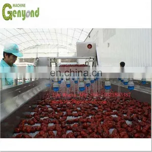 Multifunctional Rotary Drum Washing Machine Raisin Washing Machine thumbnail-3