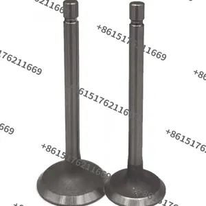 China Factory Supply S195, S1100, S1105, S1110, S1115, S1125 Diesel Engine Valve Kit thumbnail-3