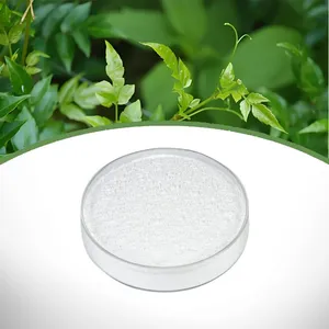Vine Tea Extract thumbnail-1