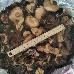 Shiitake in Brine, Brined Mushrooms, Edible Fungi, 50% Closed Caps thumbnail-1