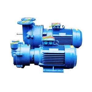 2BV2060 High Pressure Explosion Proof Water Diversion Vacuum Pump With Water Ring Technology OEM Support thumbnail-1