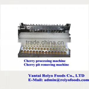 Cherry Seed Removing Machine / Cherry Pitting Machine thumbnail-5