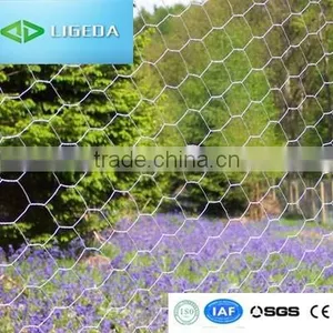 HOT! Best Manufaturing Hexagonal Wire Netting Suppliers thumbnail-3