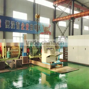 3 Tons Facotry Price Small Hoist thumbnail-1