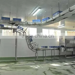 Customized Basket Washing Machine/Crate Washer thumbnail-5